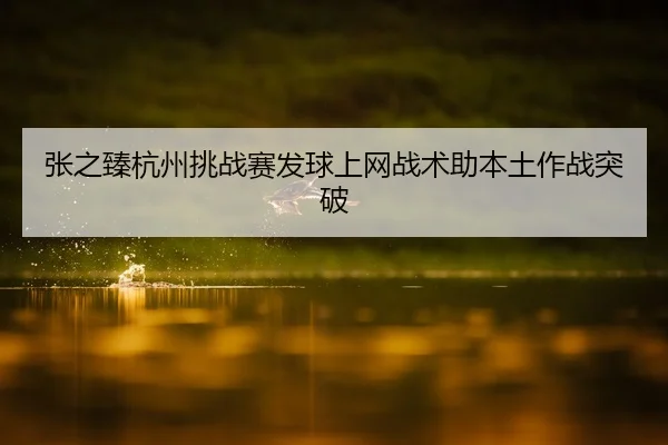 张之臻杭州挑战赛发球上网战术助本土作战突破