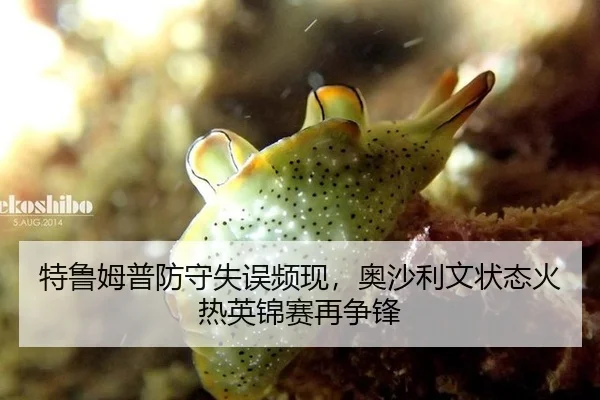 特鲁姆普防守失误频现，奥沙利文状态火热英锦赛再争锋