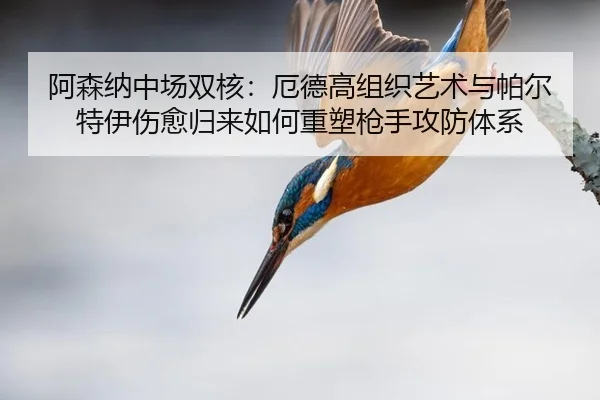 阿森纳中场双核：厄德高组织艺术与帕尔特伊伤愈归来如何重塑枪手攻防体系