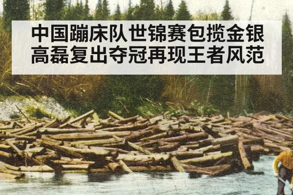 中国蹦床队世锦赛包揽金银高磊复出夺冠再现王者风范