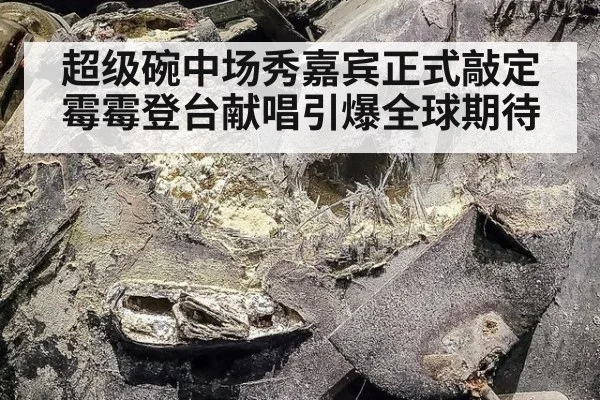 超级碗中场秀嘉宾正式敲定 霉霉登台献唱引爆全球期待